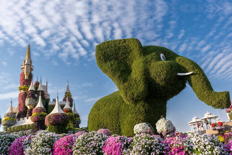 Фото точки Парк «Оазис»