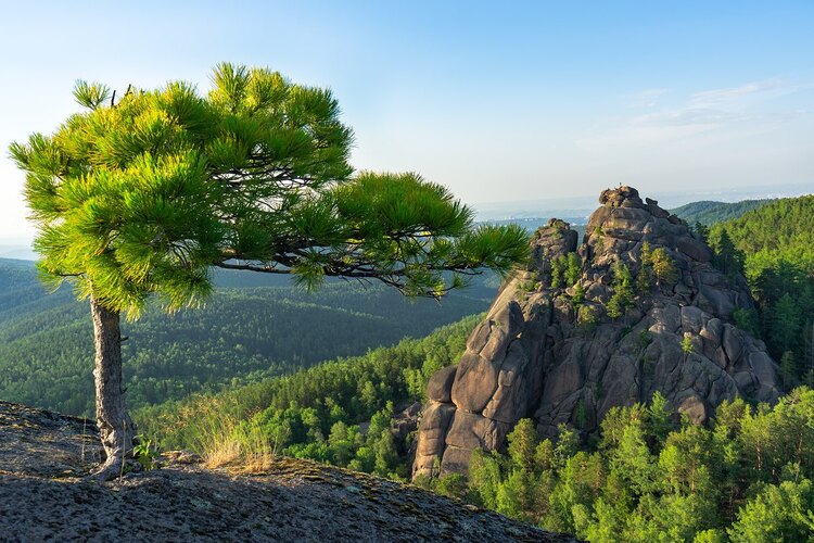 Фото точки Национальный парк «Красноярские Столбы»