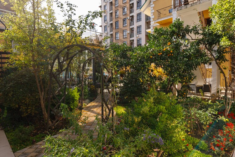 Фотография отеля