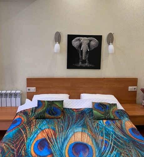 Фотография отеля