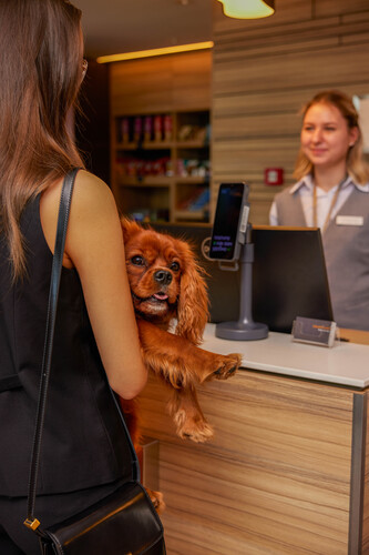 Фотография отеля