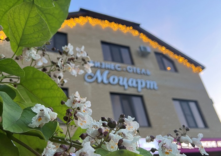 Фотография отеля