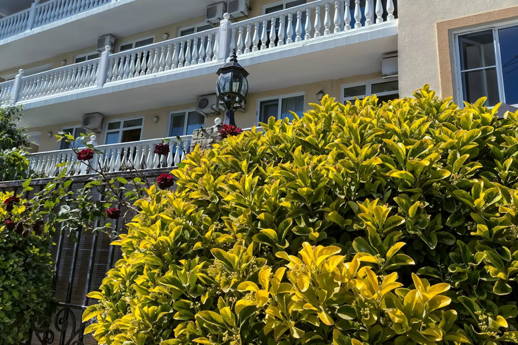 Фотография отеля