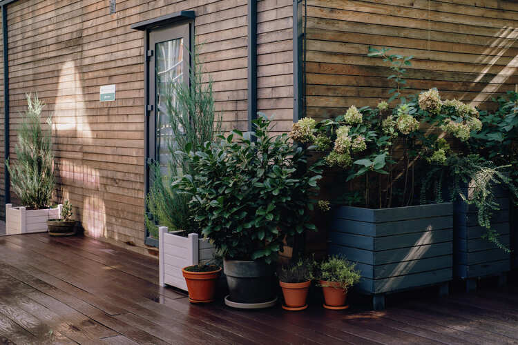 Фотография отеля