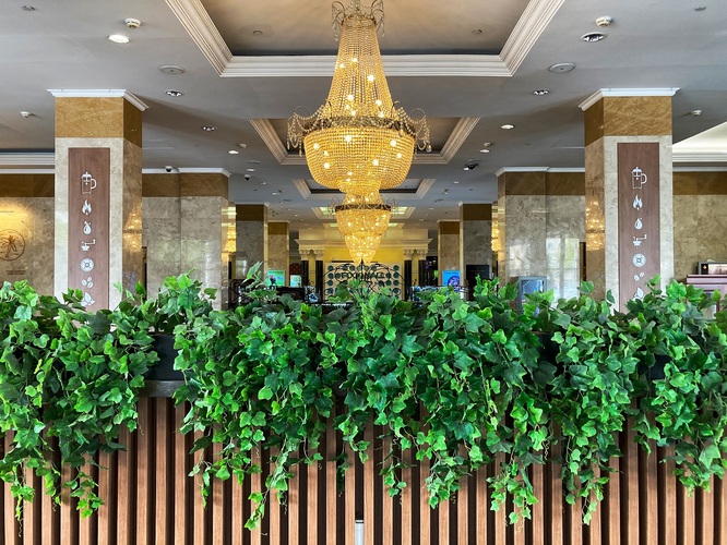 Фотография отеля