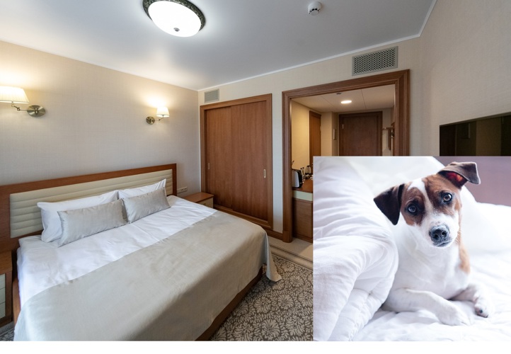 Фотография отеля