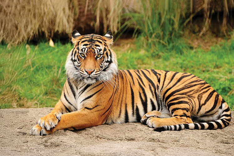 Фото точки Ярославский зоопарк