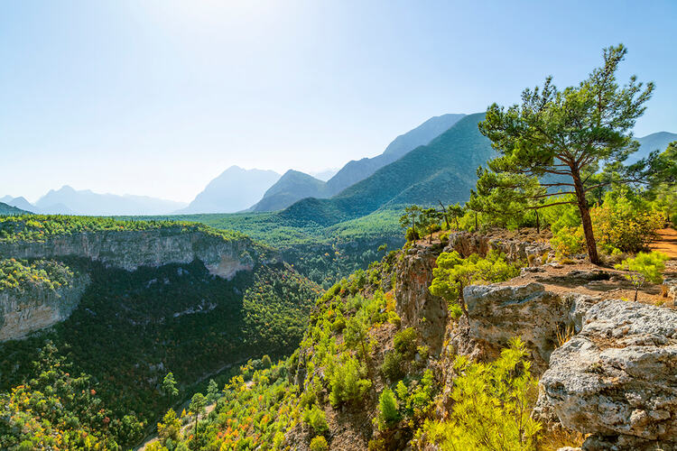 Фото точки Каньон Гювер