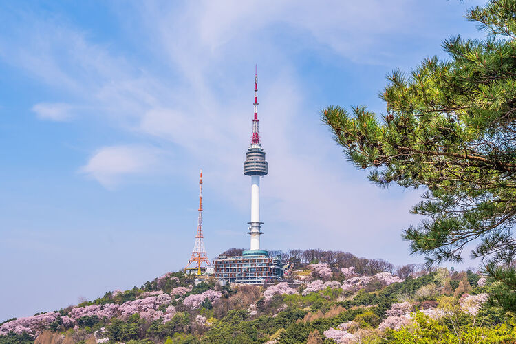 Фото точки Сеульская телебашня