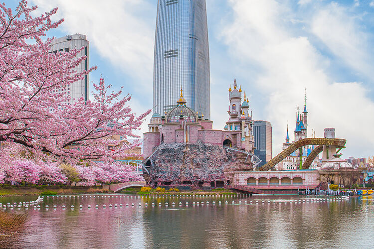 Фото точки Парк «Мир Лотте»